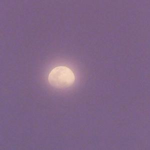 优秀处女开苞高潮毛片
